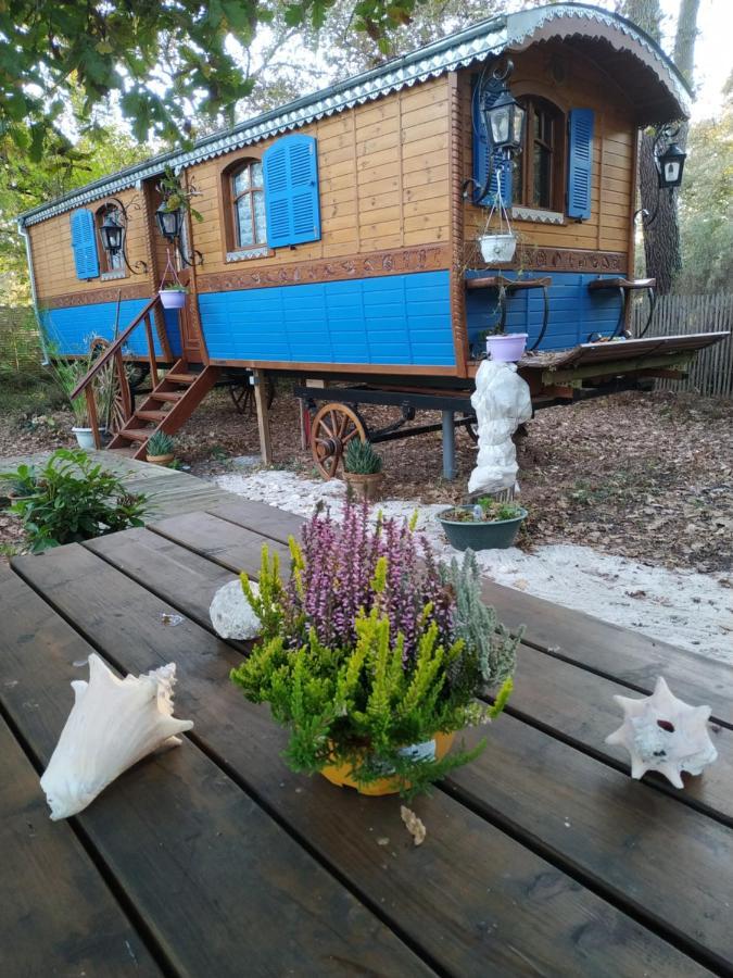 Villa Les Roulottes Vesta Léognan Esterno foto